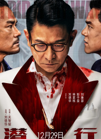黄色视屏免费观看